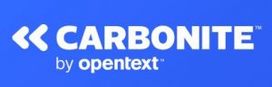 Carbonite Data Services review