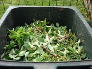 compost waste 2023