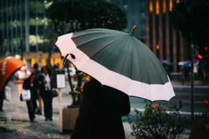 Umbrella Company regulations