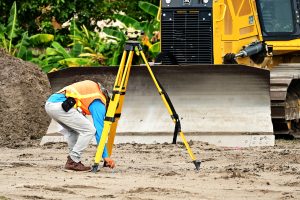 What Is a Surveyor role