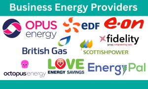 UK Energy Providers
