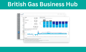 british gas business hub