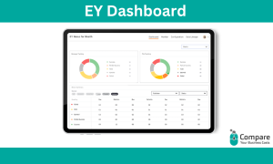 EY: Visual from a user’s perspective: