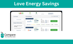 Love energy savings