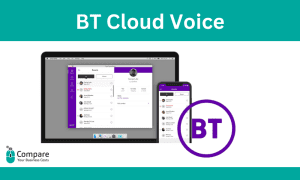 BT cloud voice