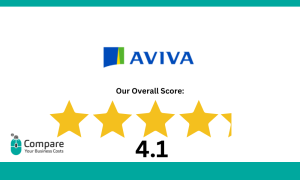 Aviva: The Ultimate Guide