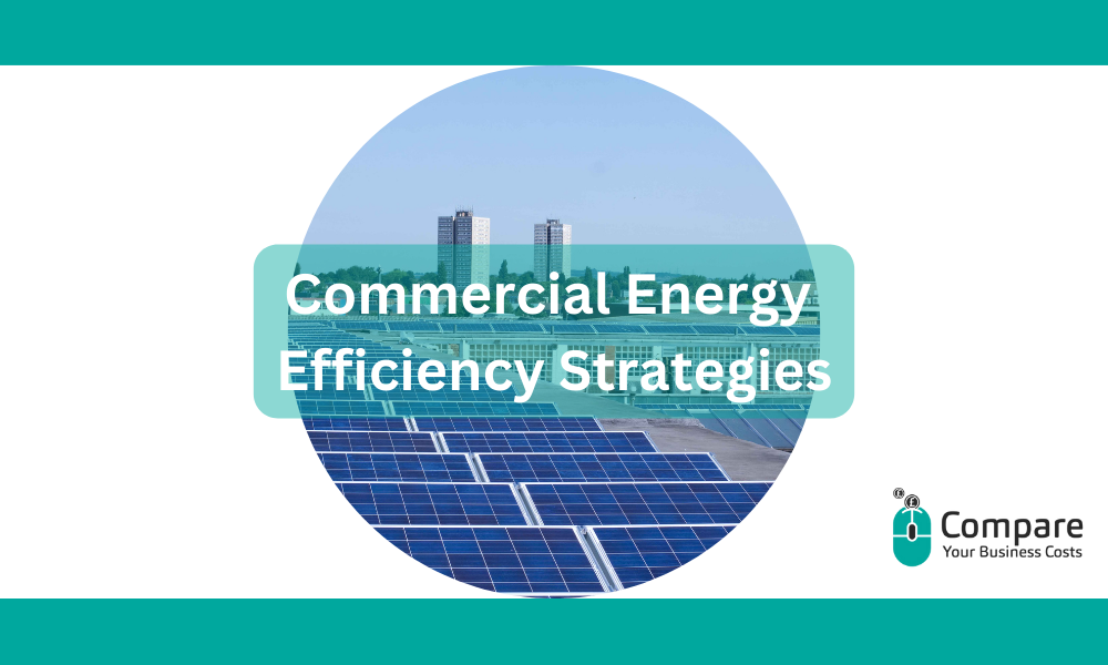 Commercial Energy Efficiency Strategies