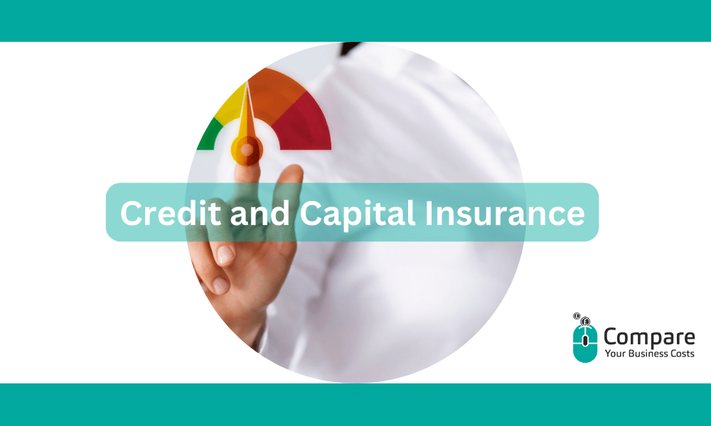 Credit and Capital Insurance: The Ultimate Guide