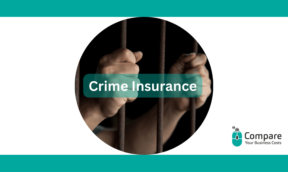 Crime Insurance: The Ultimate Guide